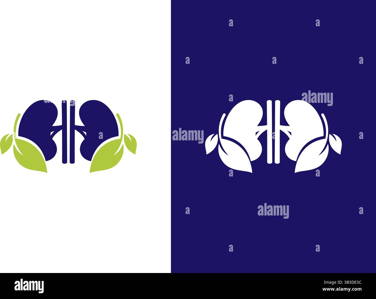 Menschliche Nieren-Blätter-Logo-Kombination. Urologie-Logotypendesign. Stock Vektor