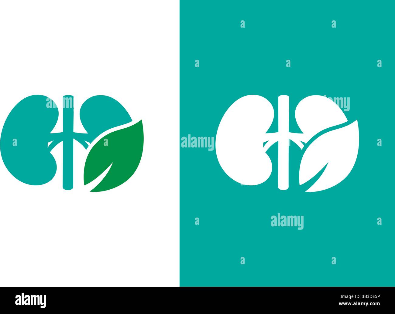 Nieren-Blatt-Logo-Kombination. Design-Vorlage für Logotypen für die Nierenpflege. Stock Vektor