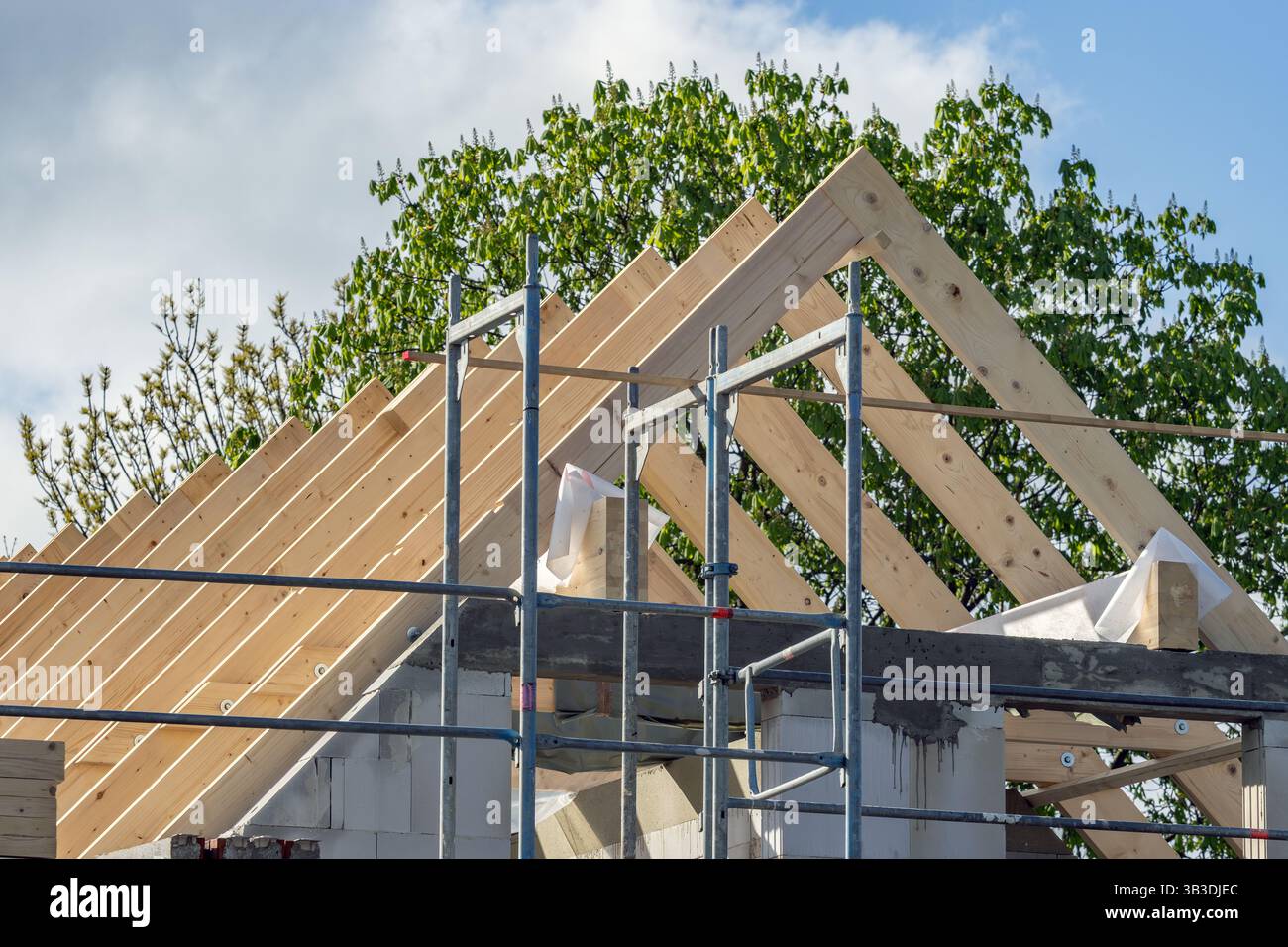 Holzbalken bilden den Dachbinder eines Giebeldachs Stockfoto