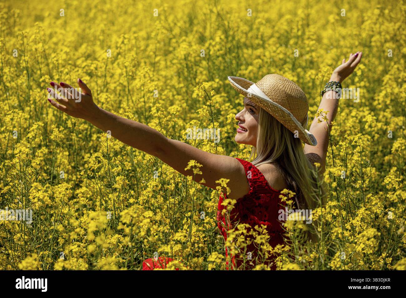 Eine freudige Frau taucht in die Natur ein und genießt ein leuchtendes gelbes Blumenfeld unter der warmen Sonne Stockfoto