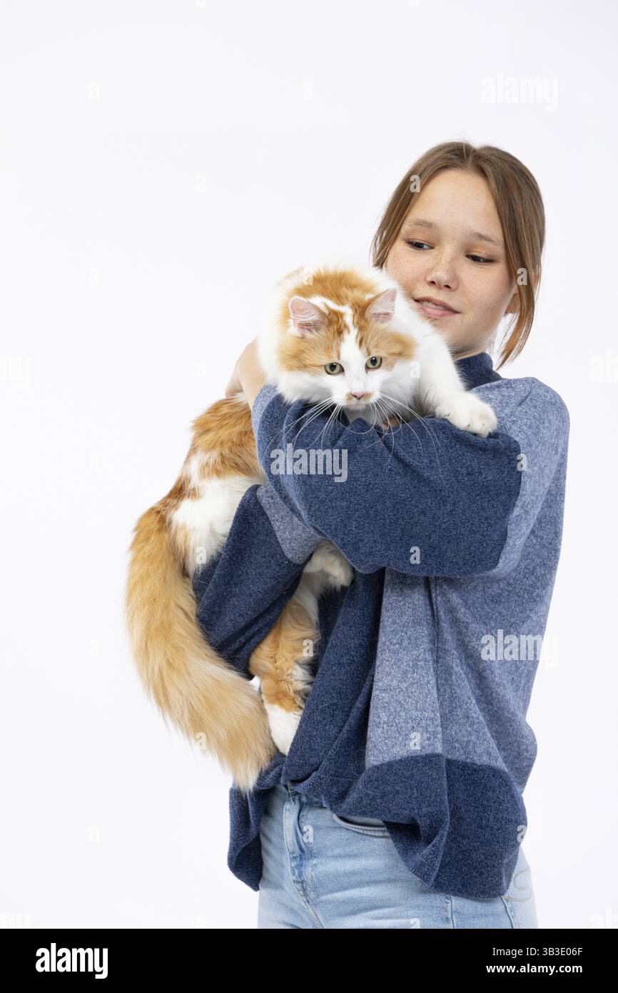 Ein Junges Maedchen haelt sanft eine flauschige rothaarige Katze in einer muetlichen und einladenden Umgebung Stockfoto