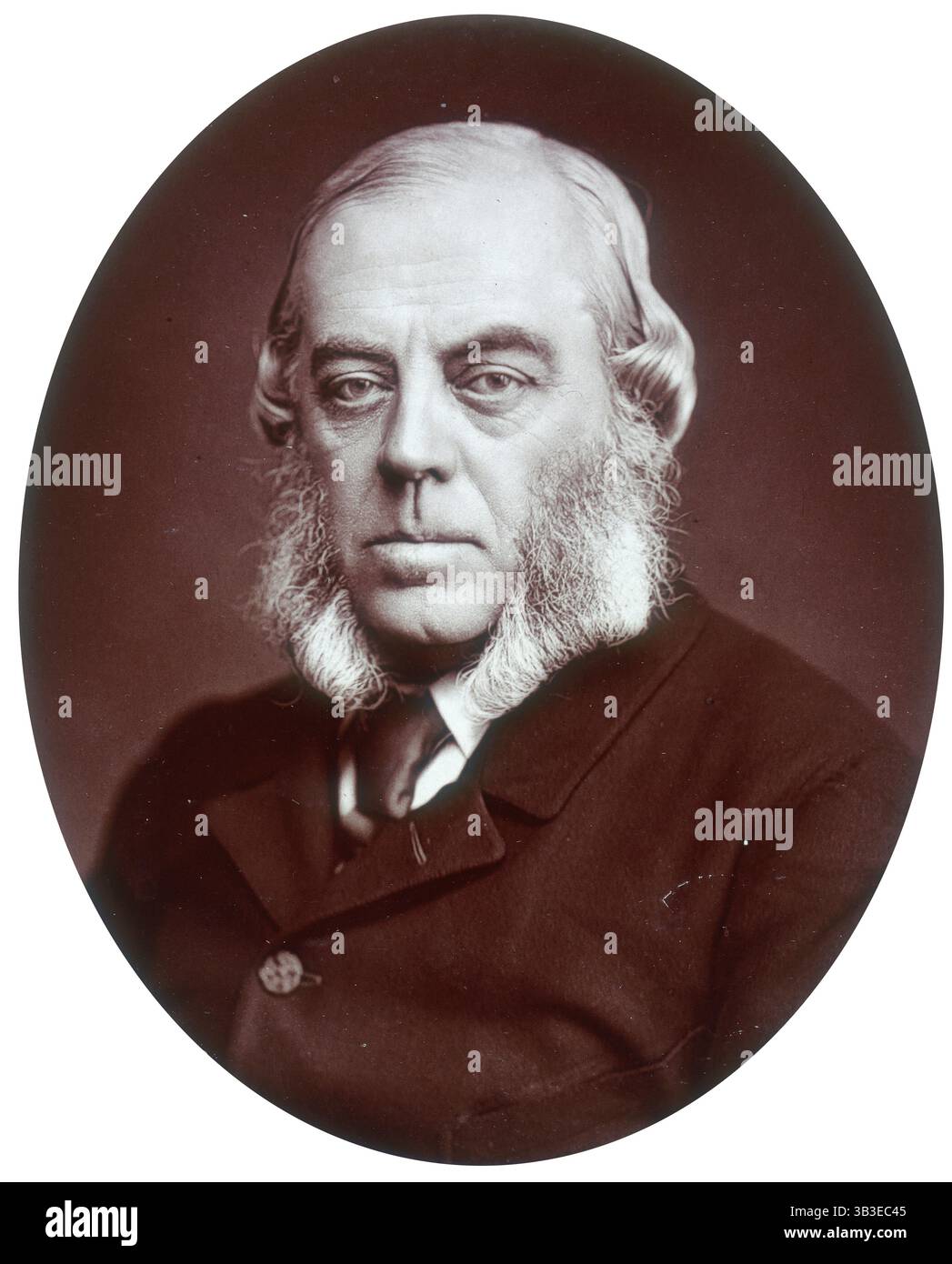 Duke of Malborough, Lord Lieutenant of Ireland, 1881. John Winston Spencer Churchill (1822–1883), 7. Duke of Marlborough, war von 1876 bis 1880 Lord Lieutenant of Ireland. Stockfoto