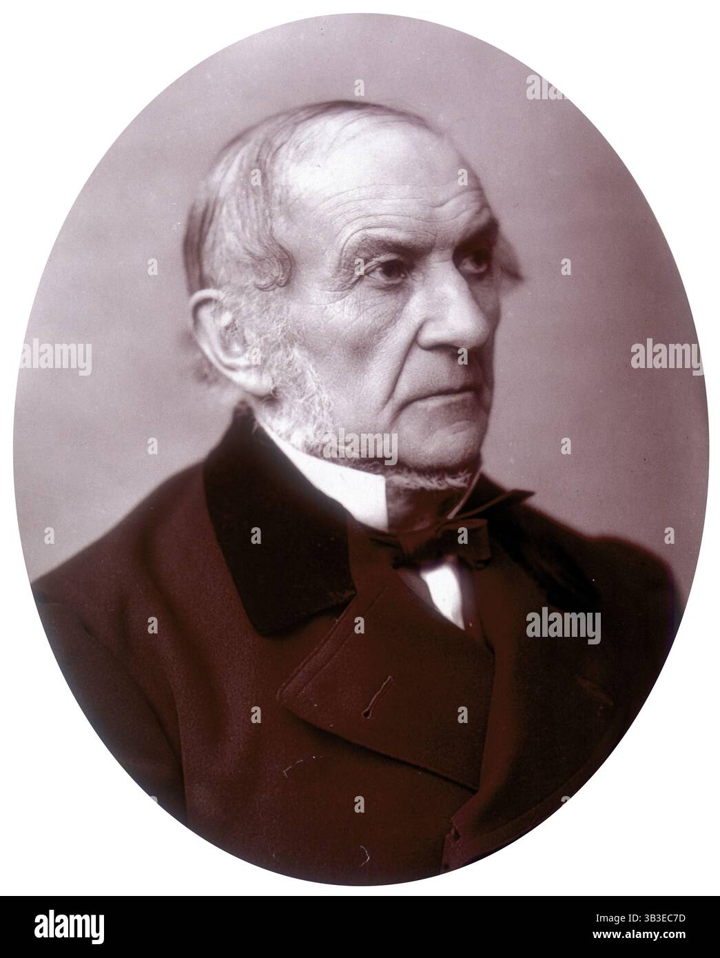 William Ewart Gladstone Abgeordneter, britischer liberaler Premierminister, 1882. William Gladstone (1809–1898) wurde in Liverpool geboren und studierte in Oxford, von wo aus er 1832 seine politische Karriere begann. 1868 wurde er Premierminister, 1880 und 1886 zweimal. Während seiner Zeit an der Macht brachte Gladstone große Reformen in Irland ein und etablierte ein nationales Bildungssystem in England. Stockfoto