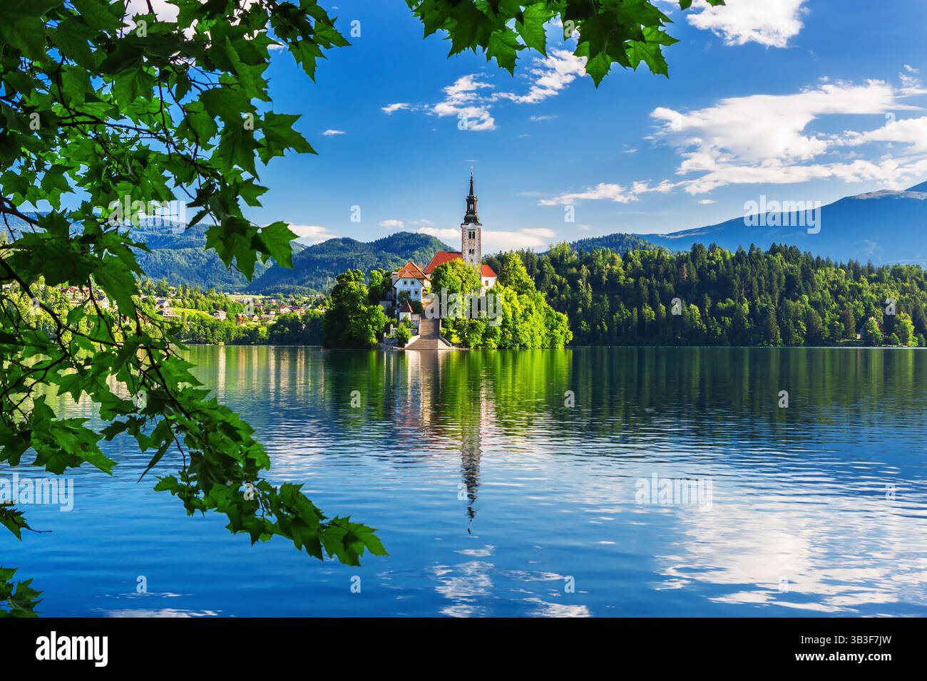 Bleder See, Slowenien Bohinj-Gletscher, tektonischer Ursprung, Thermalquellen, Bergseen, bewaldete Hänge von Blejski Grad, 140 Meter über dem Meeresspiegel, Stockfoto