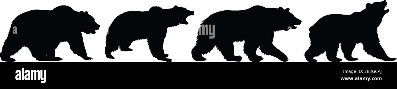 Dynamische Kollektion von Silhouetten von Roaring und Walking Bear, die die Kraft und Stärke der Wildnis repräsentieren Stock Vektor