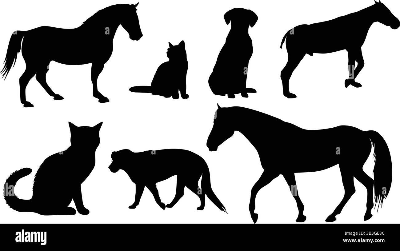 Vielfältige Sammlung von Silhouetten für Haustiere mit Pferden, Katzen und Hunden in verschiedenen Posen Stock Vektor
