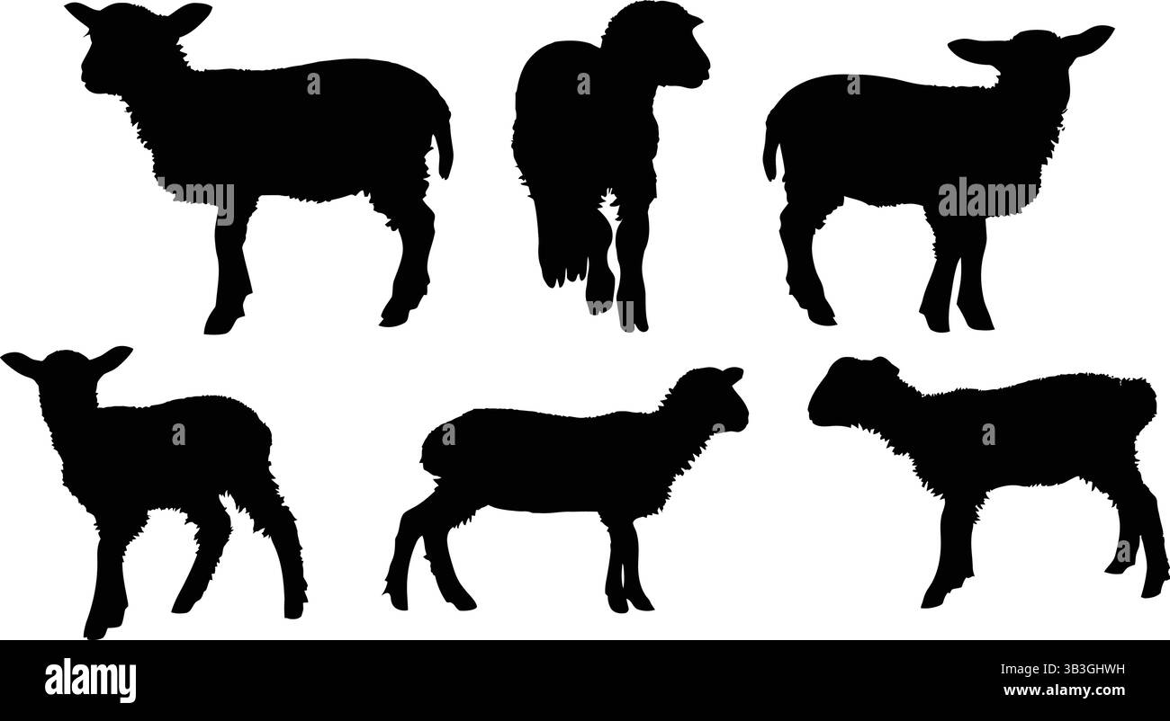 Silhouetten von Schafen, die auf weißem Hintergrund stehen Stock Vektor