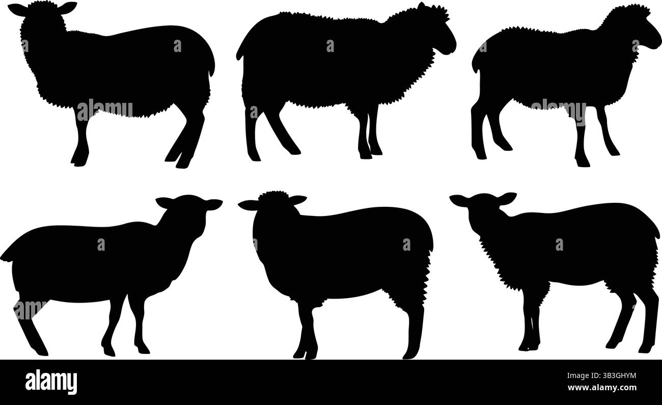 Silhouetten von Schafen auf weißem Hintergrund Stock Vektor