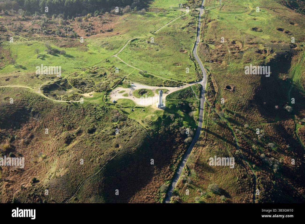 Das Hardy Monument zum Gedenken an Vizeadmiral Sir Thomas Hardy, Kommandeur der HMS „Victory“ in der Schlacht von Trafalgar, Black Down, Dorset, 2025. Stockfoto