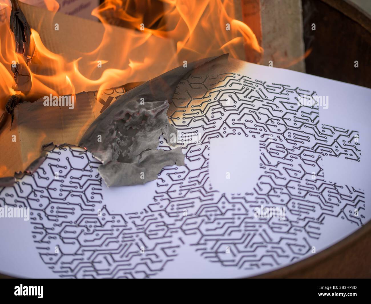 Bitcoin-Logo auf Papier, das in offenen Flammen brennt – symbolisches Bild, das den Crash von Kryptowährungen, Datenverlust und Volatilität digitaler Währungen darstellt Stockfoto