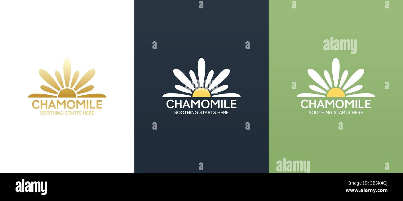 Vektor-Logo der Gänseblümchenblume. Markenkonzept für Kräutermedizin, Markenidentität ätherischer Öle, Kräutertee Wellness, Schönheitsprodukte. Stock Vektor
