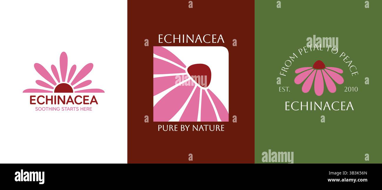 Satz des Vektorlogos der Echinacea Blume. Markenkonzept für Kräutermedizin, Markenidentität ätherischer Öle, Kräutertee Wellness und Beauty Produ Stock Vektor