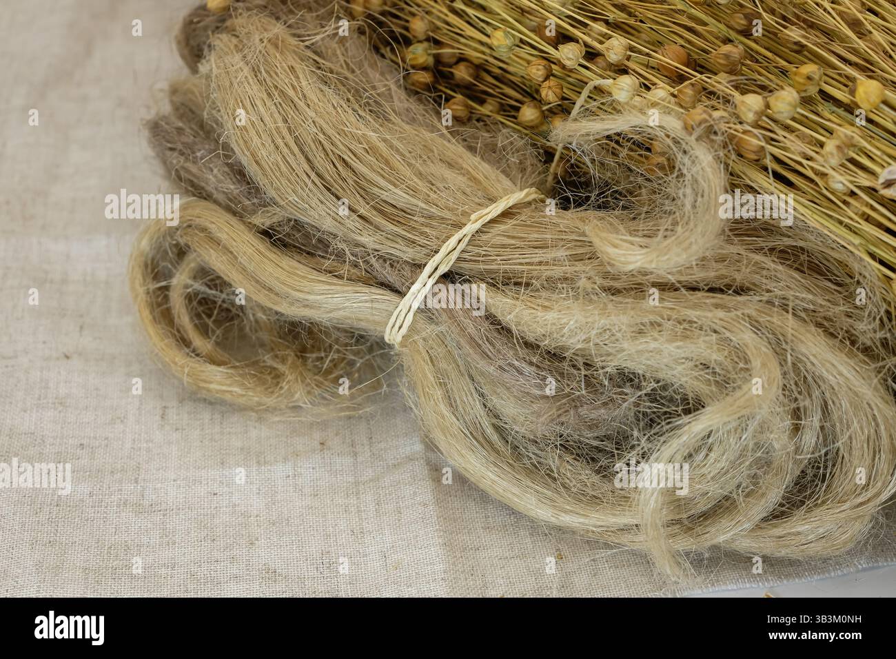 Flachspflanzen-Schoten, Leinwände und Flachsfasern. Nachhaltige Alternative zu synthetischen Fasern. Kopierbereich. Stockfoto