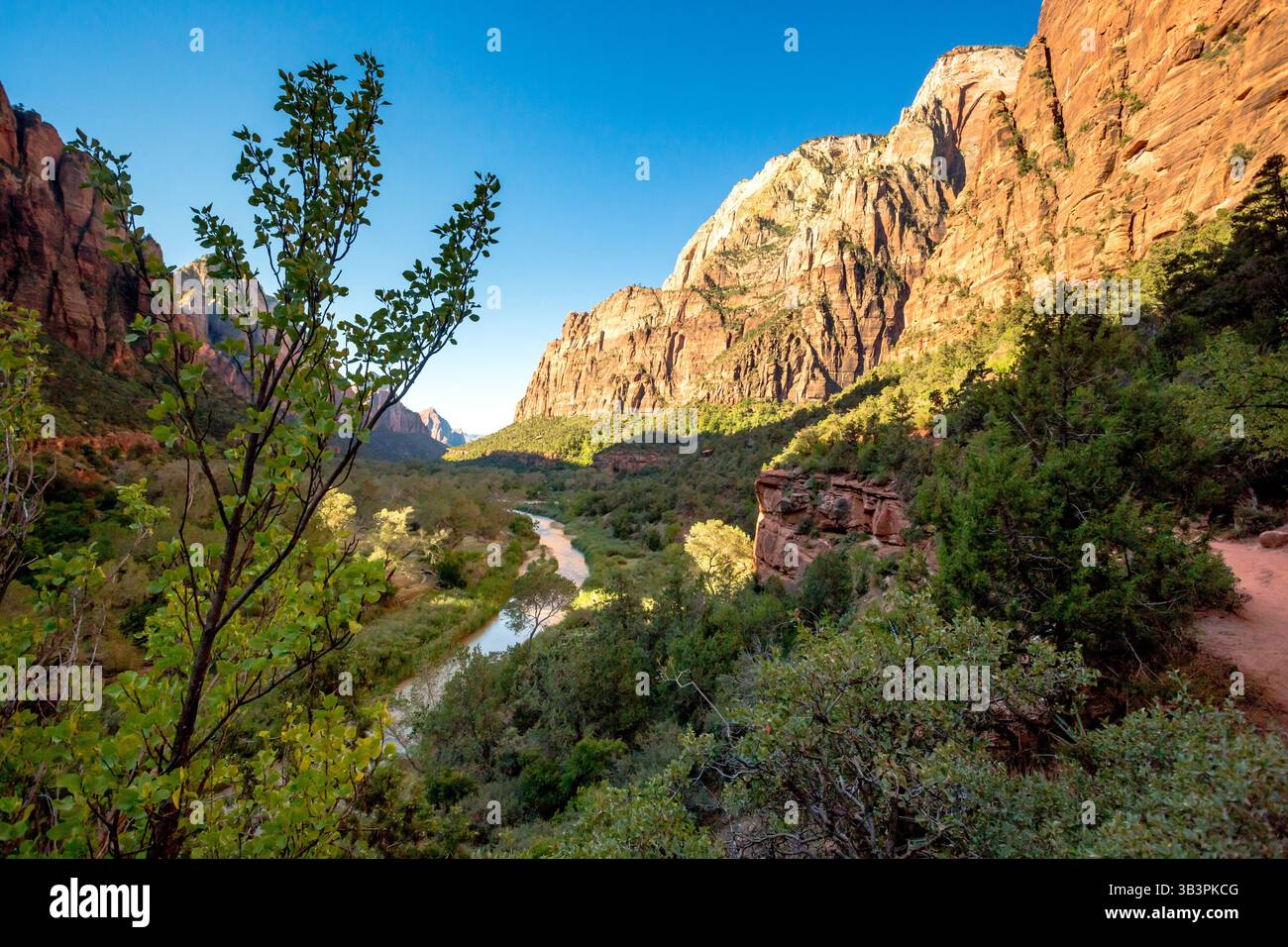 Der Virgin River entlang des Kayenta Trail im Zion National Park, Utah Stockfoto