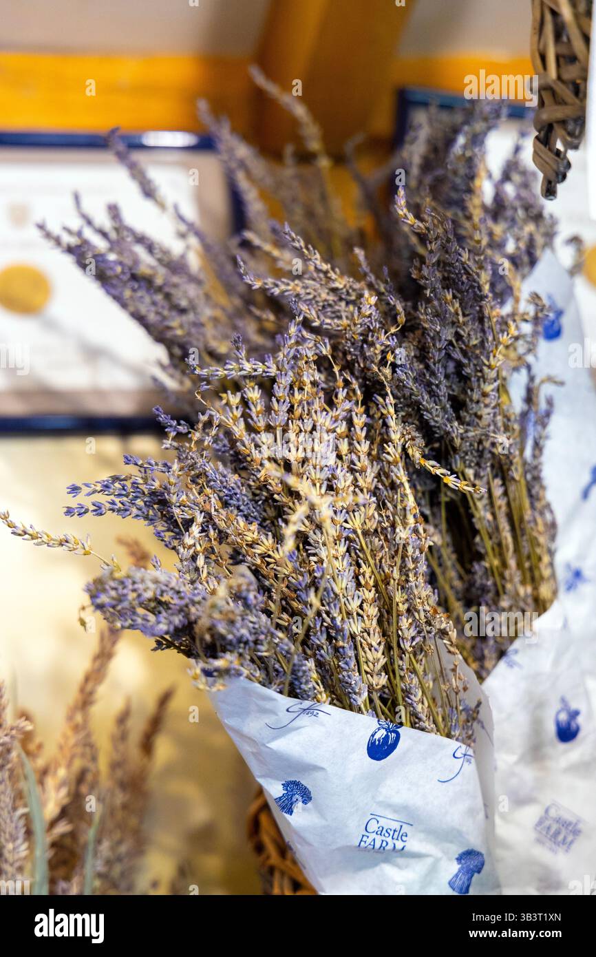 Lavendel im Castle Farm Lavender Farm Shop, Lullingstone, Kent, England Stockfoto