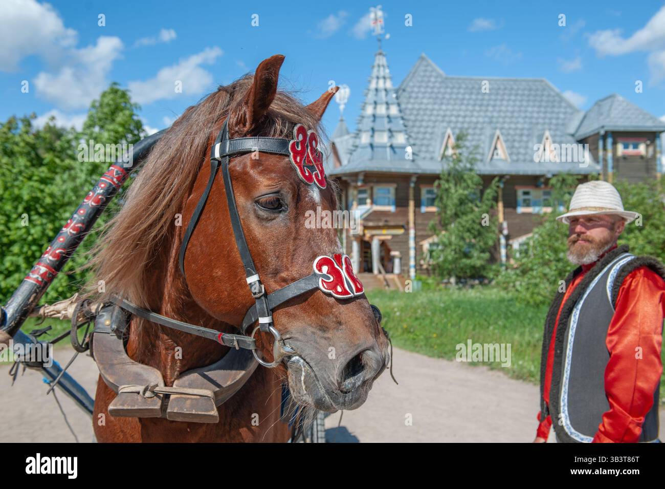 MANDROGI, RUSSLAND - 8. JUNI 2015: Ein Bay Horse für den Transport von Touristen durch das Dorf. Karelien, ein neues Resort in traditionellem Stil in der Stockfoto