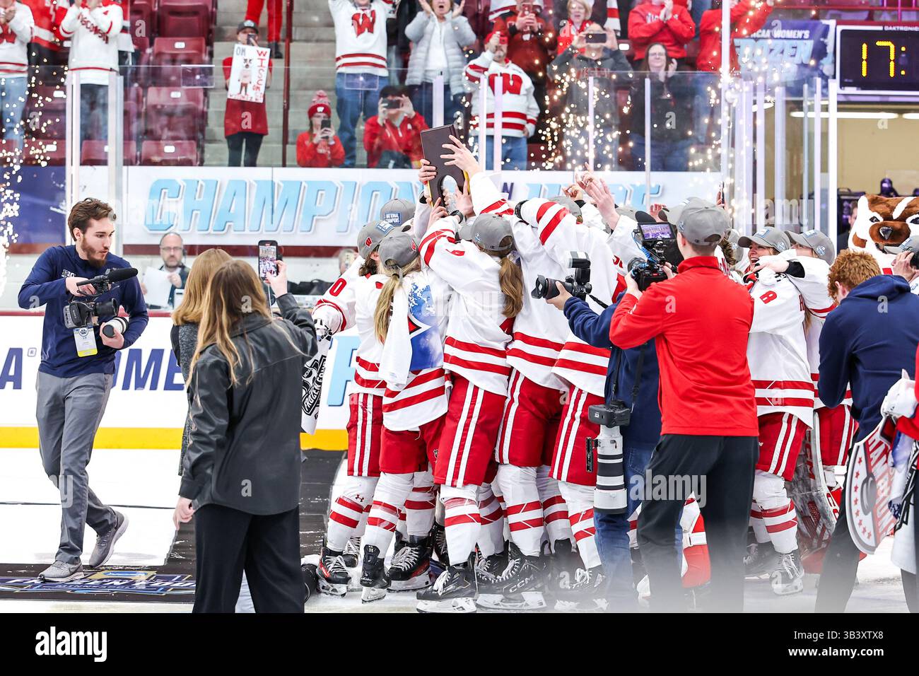 Minneapolis. März 2025. Die Wisconsin Badgers feiern den Sieg der NCAA Championship nach dem NCAA Women's Hockey Frozen Four Championship Spiel zwischen Ohio State und Wisconsin in der Ridder Arena in Minneapolis. Steven Garcia-CSM/Alamy Live News Stockfoto