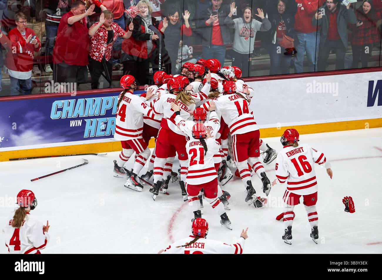 Minneapolis. März 2025. Wisconsin Badgers feiern den Sieg der NCAA Championship, nachdem Stürmer Kirsten Simms (27) in der Ridder Arena in Minneapolis das Siegtor für die Wisconsin Badgers in der Überstunden beim NCAA Women's Hockey Frozen Four Championship-Spiel zwischen Ohio State und Wisconsin erzielte. Steven Garcia-CSM/Alamy Live News Stockfoto
