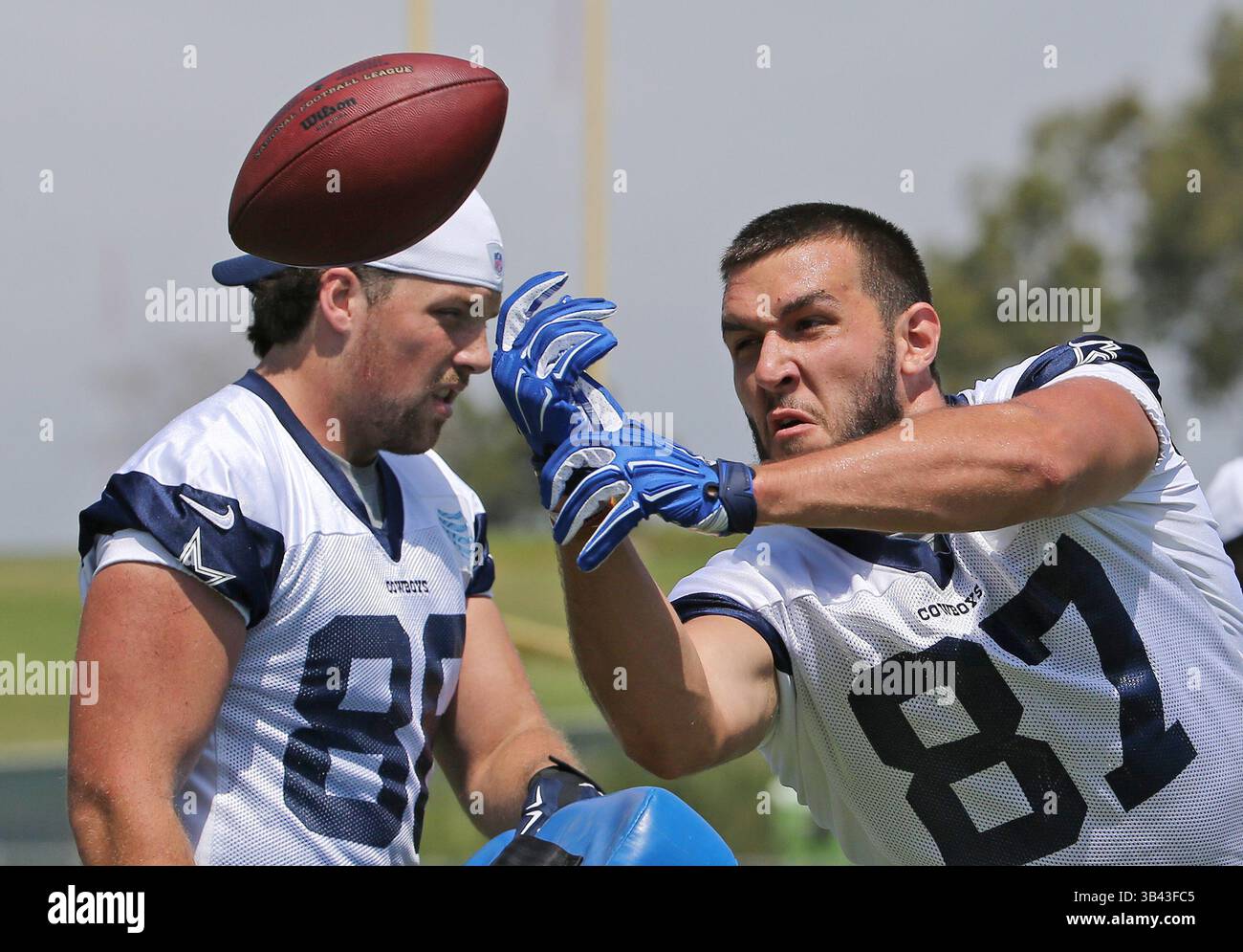 31. Juli 2015 – Oxnard, KALIFORNIEN, USA – Dallas Cowboys Tight End Ray Hamilton, links, hält eine Blockade, während Tight End Geoff Swaim (87) am Freitag, den 31. Juli 2015 einen Ball während des morgendlichen Spaziergangs im Trainingscamp des Teams in Oxnard, Kalifornien, beobachtet. (Bild: © Paul Moseley/TNS via ZUMA Wire) Stockfoto
