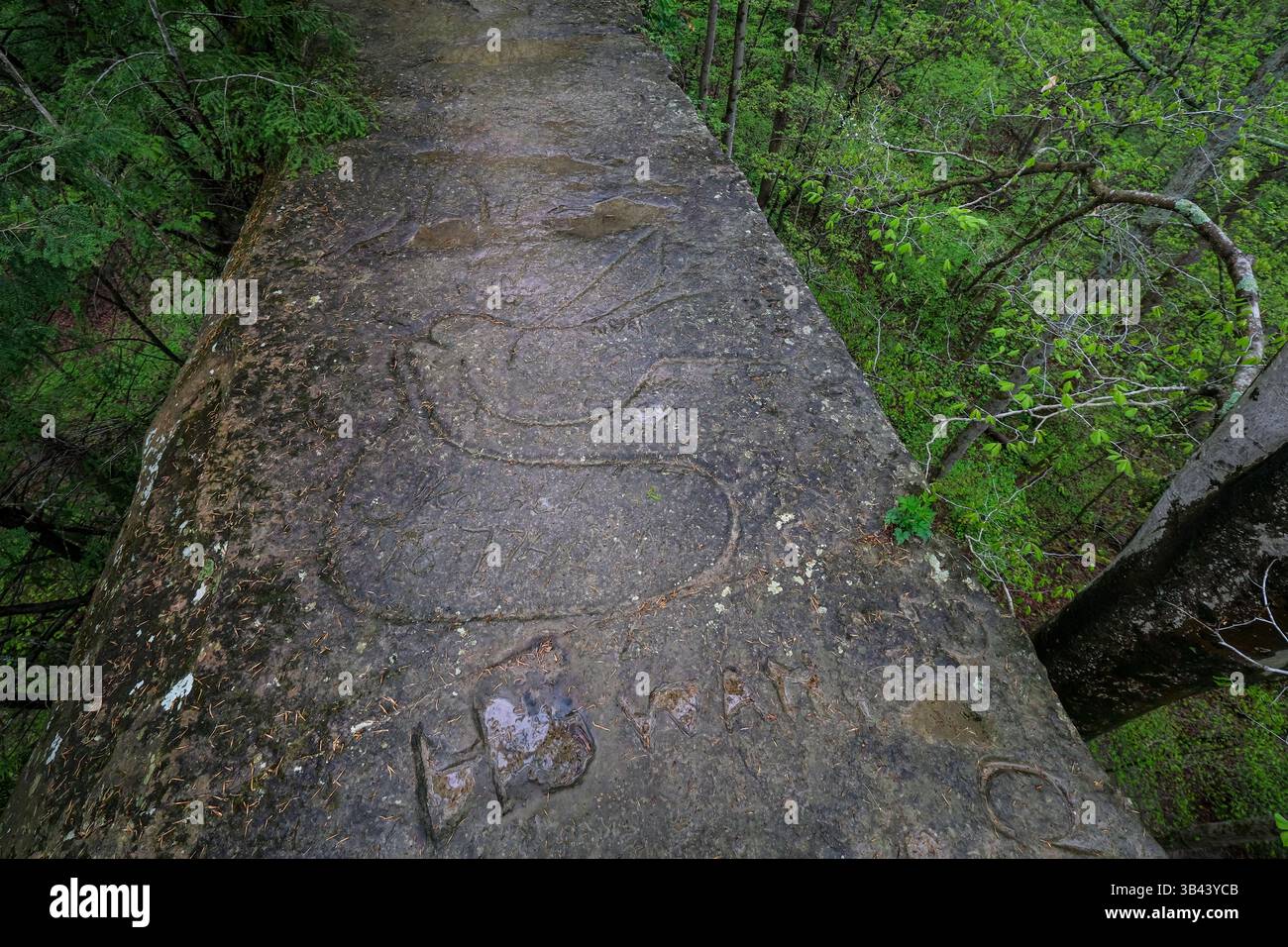 Schnitzerei einer ausgestorbenen Passagiertaube auf dem Devil's Backbone im Pine Hills Nature Preserve bei Crawfordsville, Indiana, USA Stockfoto