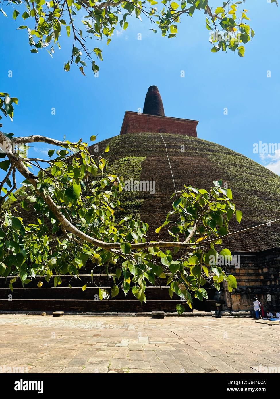 Heilige buddhistische Stupa, die hoch unter dem Himmel steht und Frieden, Erleuchtung und das spirituelle Erbe der alten Traditionen Sri Lankas symbolisiert. - Smartphone-aufgenommenes Stockfoto