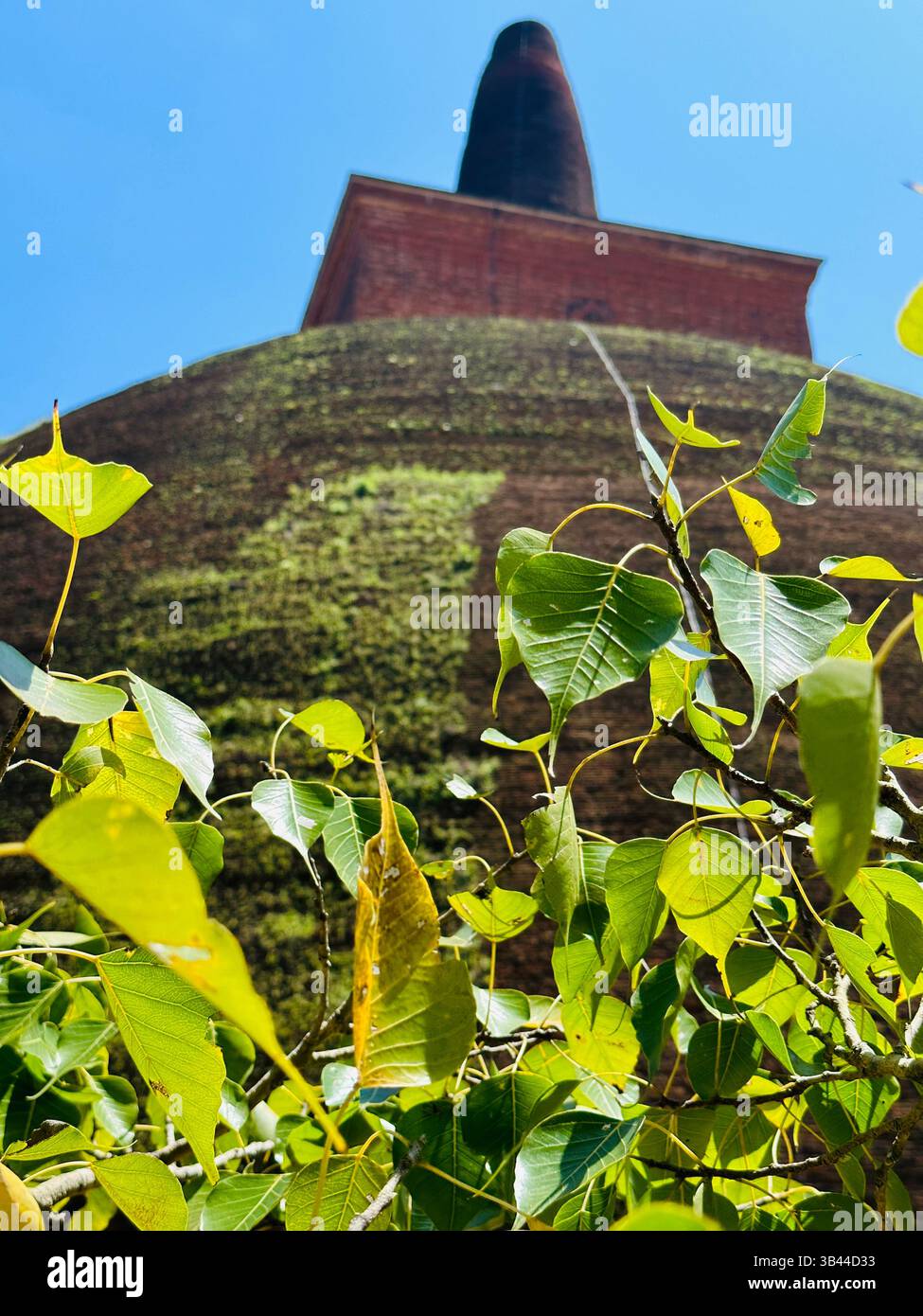 Heilige buddhistische Stupa, die hoch unter dem Himmel steht und Frieden, Erleuchtung und das spirituelle Erbe der alten Traditionen Sri Lankas symbolisiert. - Smartphone-aufgenommenes Stockfoto