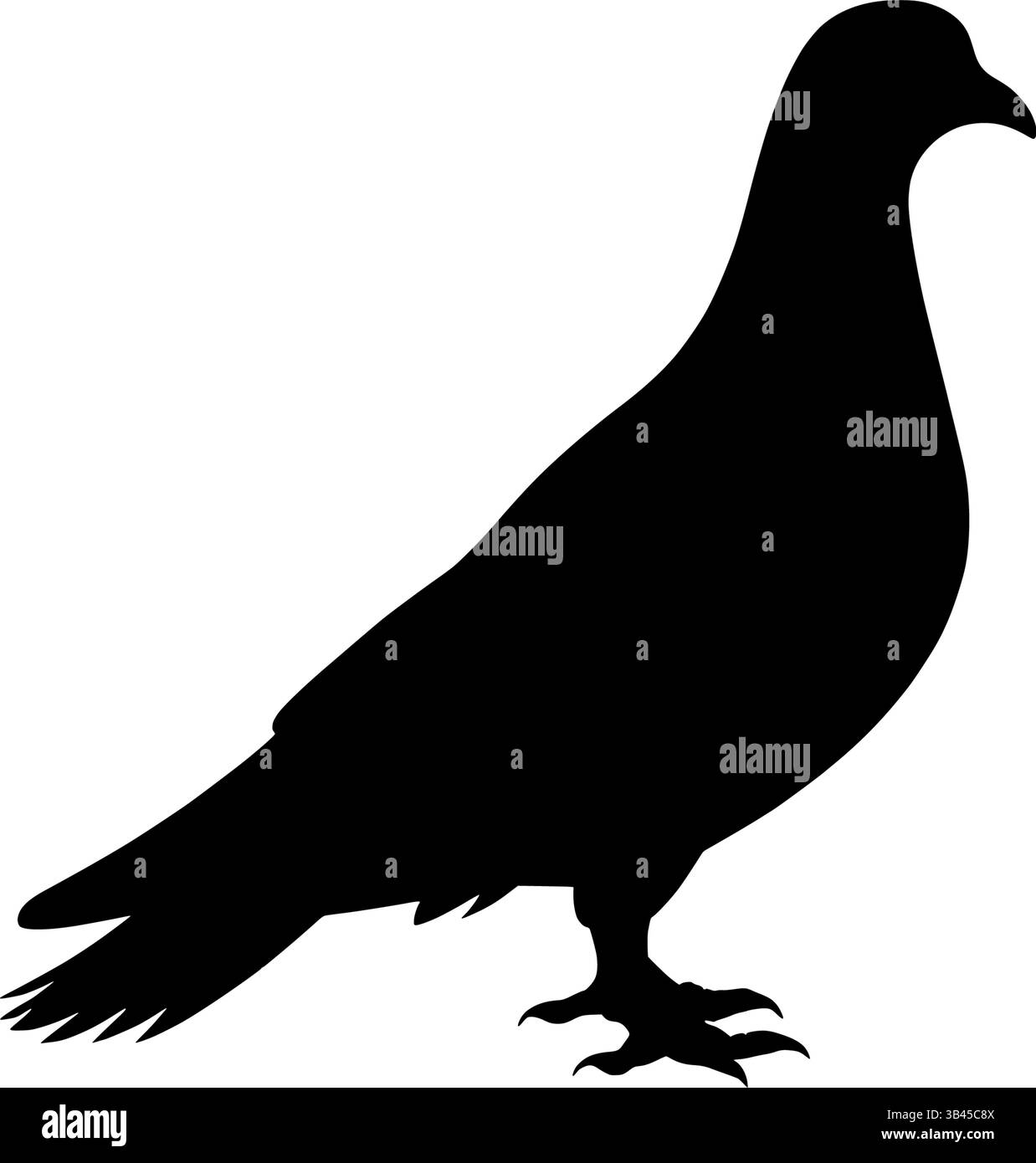 Tauben-Silhouette, Vektor-Illustration Vogeldesign isoliert auf weiß Stock Vektor