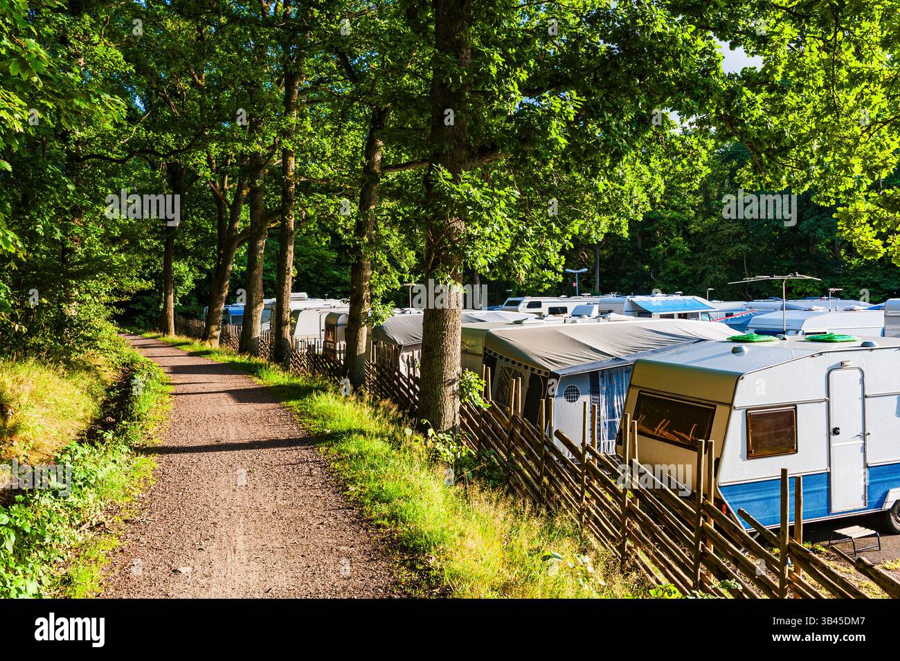 Caravans säumen einen friedlichen Waldweg in der Nähe von Göteborg, Schweden, und sind ein perfekter Campingplatz für Sommerabenteuer. Sonnenlicht filtert durch den Baum Stockfoto