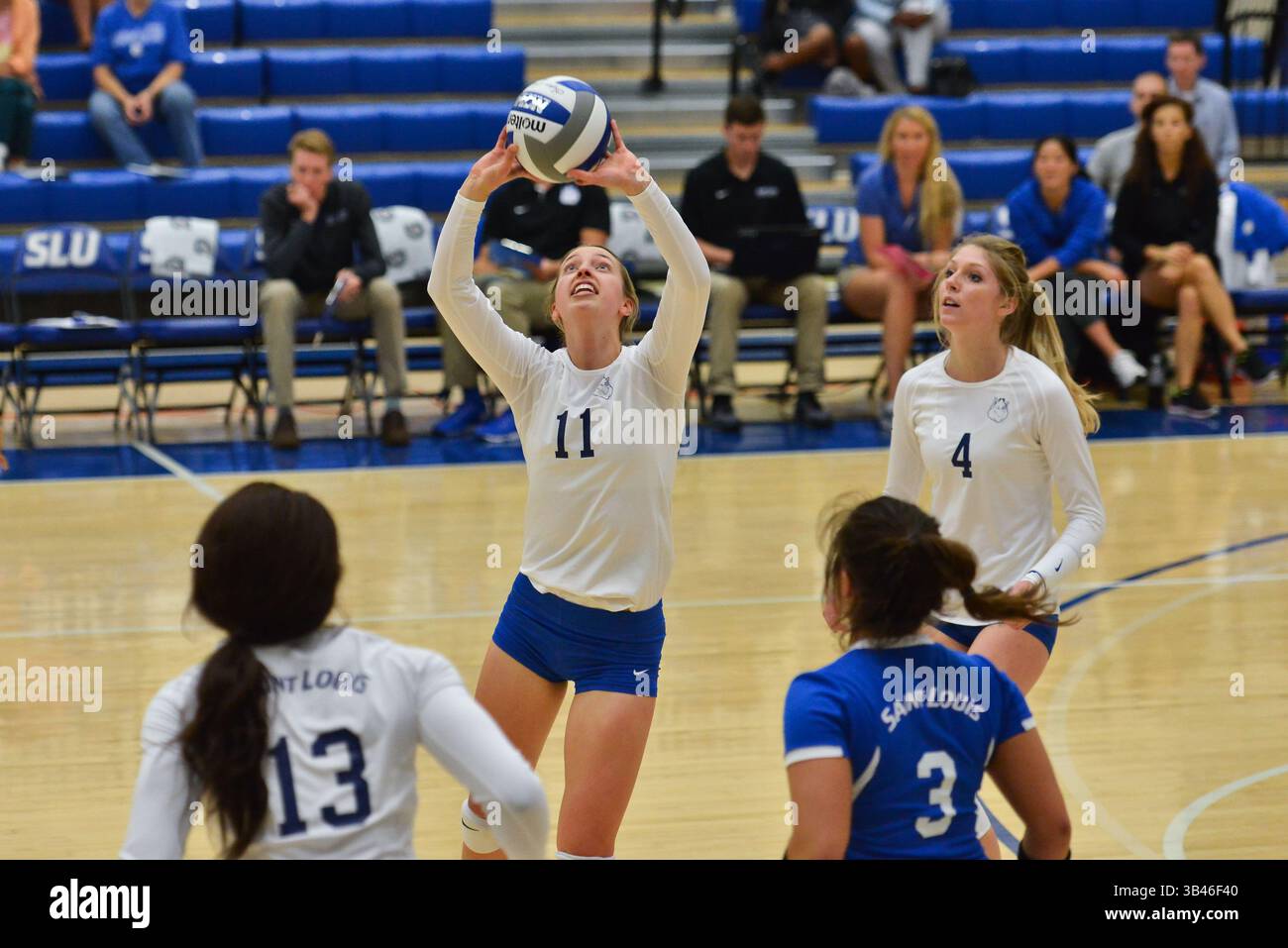 31. August 2015: St. Louis, Missouri, USA - die Saint Louis University Billiken-Setterin MEREDITH BOE (11) spielt den Ball während eines regulären Saisonspiels zwischen den St. Louis Billikens und dem North Dakota State Bison, wo der North Dakota State Saint Louis mit 3:1 besiegt, der im Chaifetz Pavillon in St. Louis, MO ausgetragen wird. (Kreditbild: © Richard Ulreich via ZUMA Wire) Stockfoto