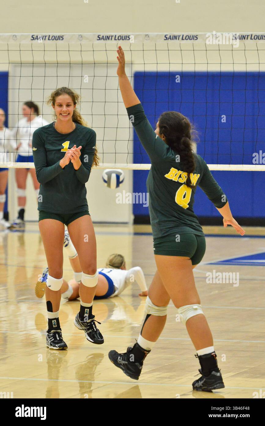 31. August 2015: St. Louis, Missouri, USA – North Dakota State Bison Middle Blocker JESSICA JORGENSEN (1) und North Dakota State Bison Libero/Defensivspezialist DALLAS GOETTLE (8) feiern einen Punkt während eines regulären Saisonspiels zwischen den St. Louis Billikens und dem North Dakota State Bison, wo der North Dakota State Saint Louis mit 3:1 besiegt. (Kreditbild: © Richard Ulreich via ZUMA Wire) Stockfoto
