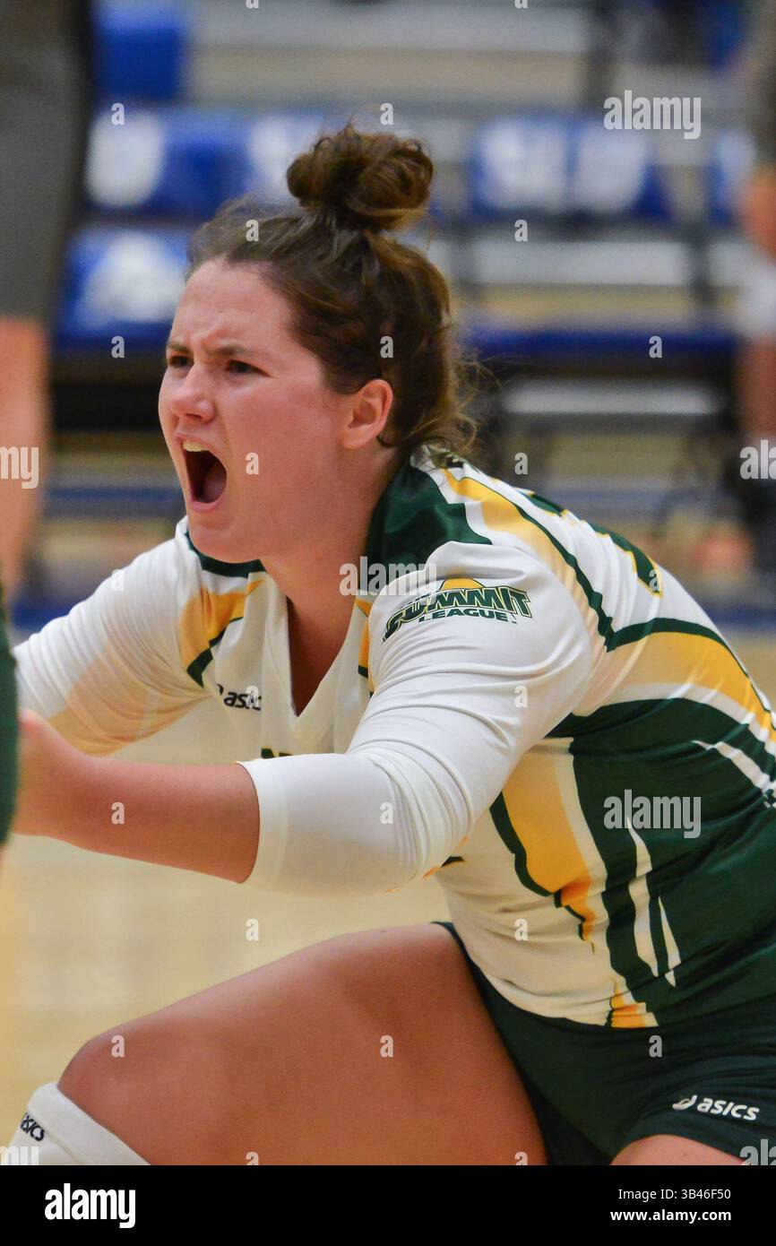 31. August 2015: St. Louis, Missouri, USA - North Dakota State Bison Libero / Defensivspezialist EMILY MILLIGAN (17) schreit vor Spannung, nachdem er während eines regulären Saisonspiels zwischen den St. Louis Billikens und dem North Dakota State Bison einen Satz gewonnen hat, bei dem der North Dakota State Saint Louis mit 3:1, im Chaifetz Pavillon in St. Louis, MO, besiegt. (Kreditbild: © Richard Ulreich via ZUMA Wire) Stockfoto
