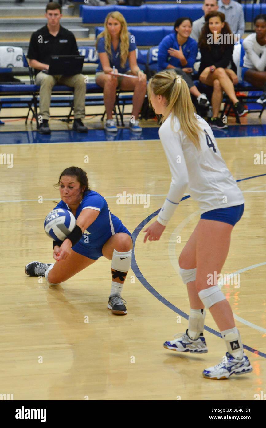31. August 2015: St. Louis, Missouri, USA - Saint Louis University Billiken Libero / Defensivspezialist MACKENZIE LONG (3) gibt den Ball während eines regulären Saisonspiels zwischen den St. Louis Billikens und dem North Dakota State Bison aus, wo der North Dakota State Saint Louis mit 3:1 besiegt. (Kreditbild: © Richard Ulreich via ZUMA Wire) Stockfoto