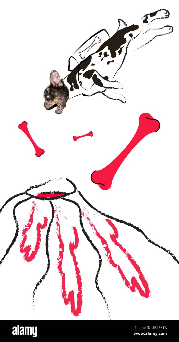 Konzeptuelle Kunstcollage. Fliegender Hund mit Rucksack, der über den Vulkan geworfen wird und Knochen in chaotischer Karikaturexplosion spuckt. Stockfoto
