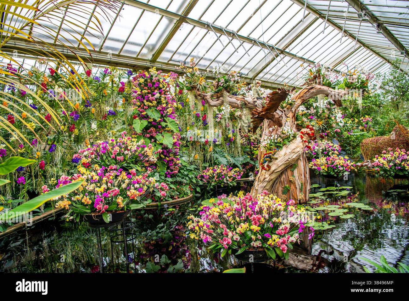 Blumendekoration beim Orchideenfest Stockfoto