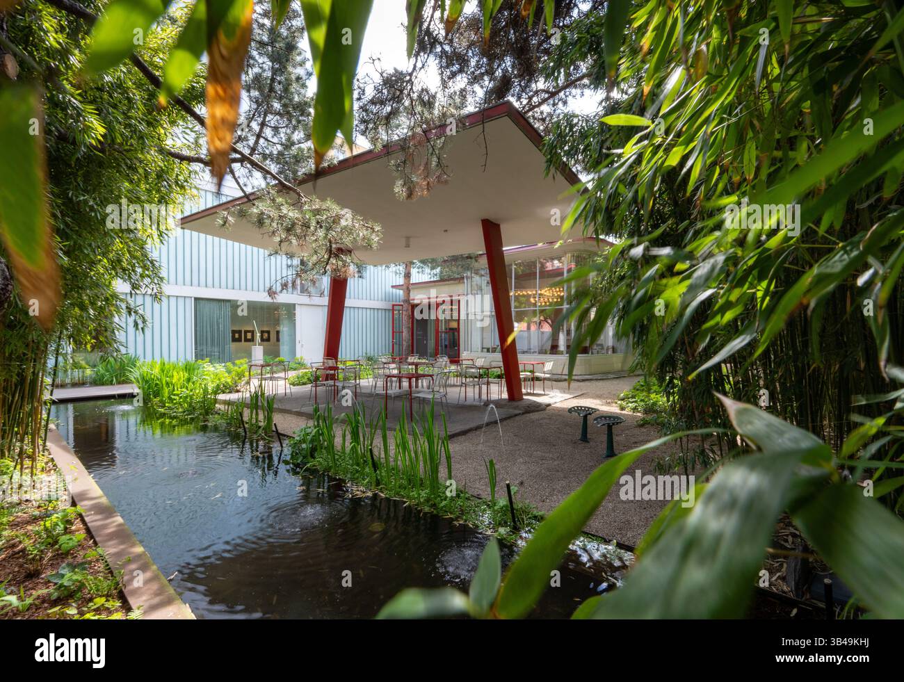 Berlin, Deutschland. April 2025 30. Bambus wächst an der Stelle der historischen Berliner Tankstelle (altes Grosz Museum) in der Bülowstraße in Schöneberg am Rande eines künstlichen Teichs. Die Pace Galerie und die Galerie Judin teilen sich den Raum und planen, das Gebäude offiziell mit einer Gruppenausstellung am 1. Mai 2025 im Rahmen des Gallery Weekend wiederzueröffnen. Quelle: Soeren Stache/dpa/Alamy Live News Stockfoto