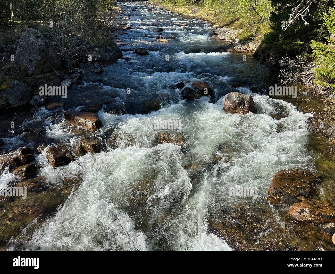 Kristallklarer Fluss mit seiner mächtigen Strömung rauscht durch eine felsige Landschaft in Nordschweden. - Smartphone-aufgenommenes Stockfoto