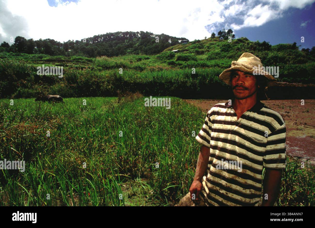 Oktober 2014 - Philippinen - Farmer. Reisfelder. Sagada. Zentrale Kordillera. Luzon. Von Banaue können Sie weiter nach Sagada (mit Jeepney) oder nach Batad (mit Wanderungen) fahren. Beide Orte bieten nicht nur Reisterrassen, sondern auch Wasserfälle, Höhlen und vieles mehr. Obwohl Sagada bereits eine Internetverbindung und warmes fließendes Wasser erworben hat, ist Batad immer noch ein Ort, an dem man etwas Zeit von allem braucht. Sagada hat auch eine Reihe von Deinty cafÃ und Restaurants, und Sie werden in der Lage sein, das Kopi Alamid zu probieren, der lokale Name für Kopi Luwak, das teuerste und Stockfoto