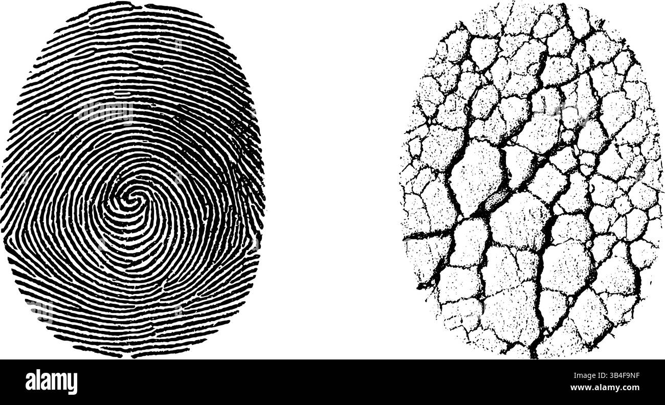 Detailliertes Fingerprint- und Ridge-Muster-Gravurset für forensische Analyse und Texturdesign. Stock Vektor