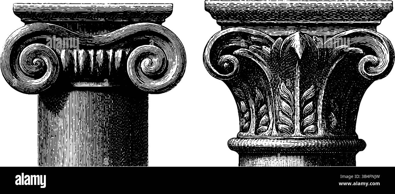 Detaillierte gravierte Abbildungen korinthischer und ionischer Säulenkapitelle für Design und Architektur. Stock Vektor