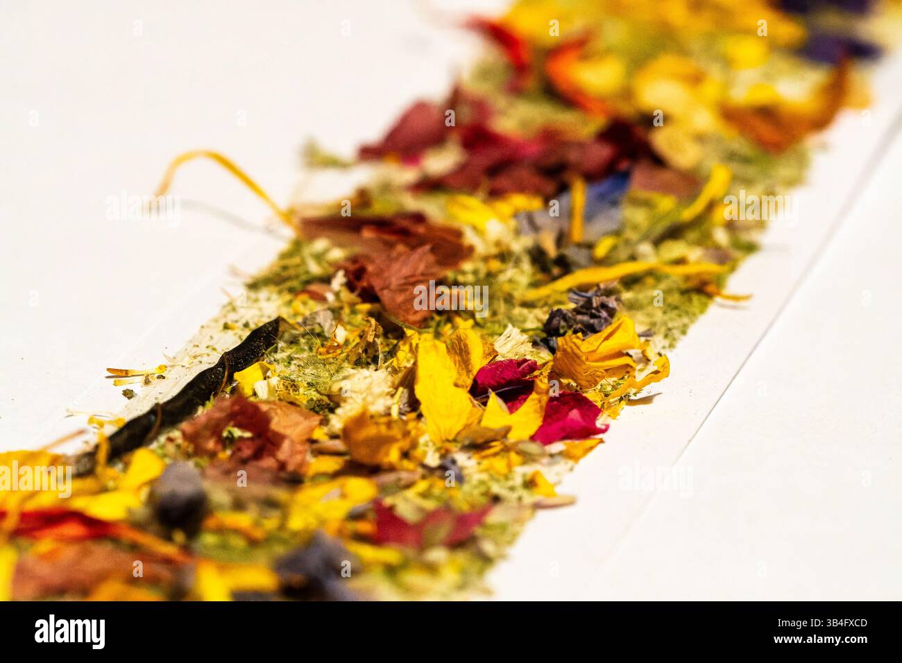 Schmutzstab aus getrockneten Blumen, Kräutern und Blättern auf Papier, verwendet für rituelle Reinigung und alternative Spiritualität Praktiken. Stockfoto