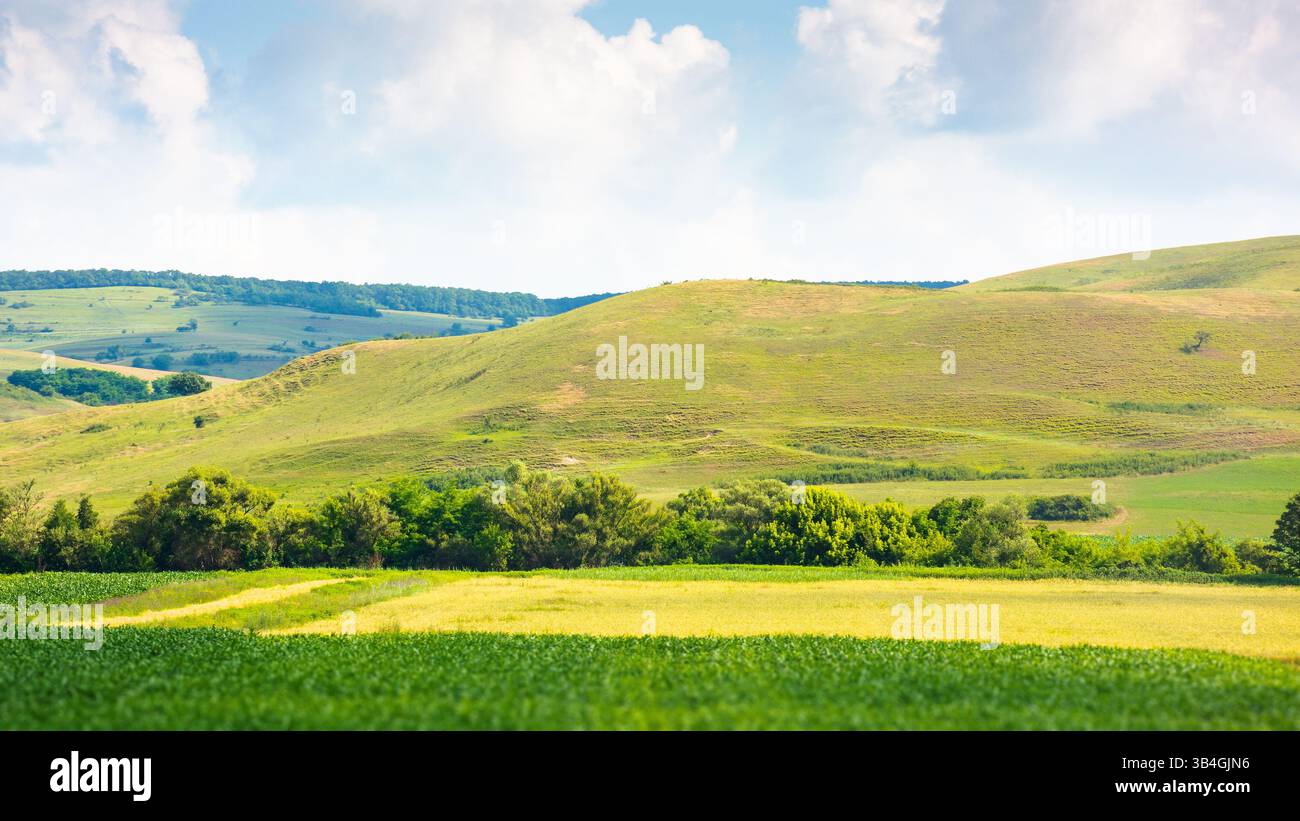 Landschaft mit ländlichem Feld. Berglandschaft rumäniens im Sommer. Bewölkter Himmel. Malerisches Hochland Stockfoto