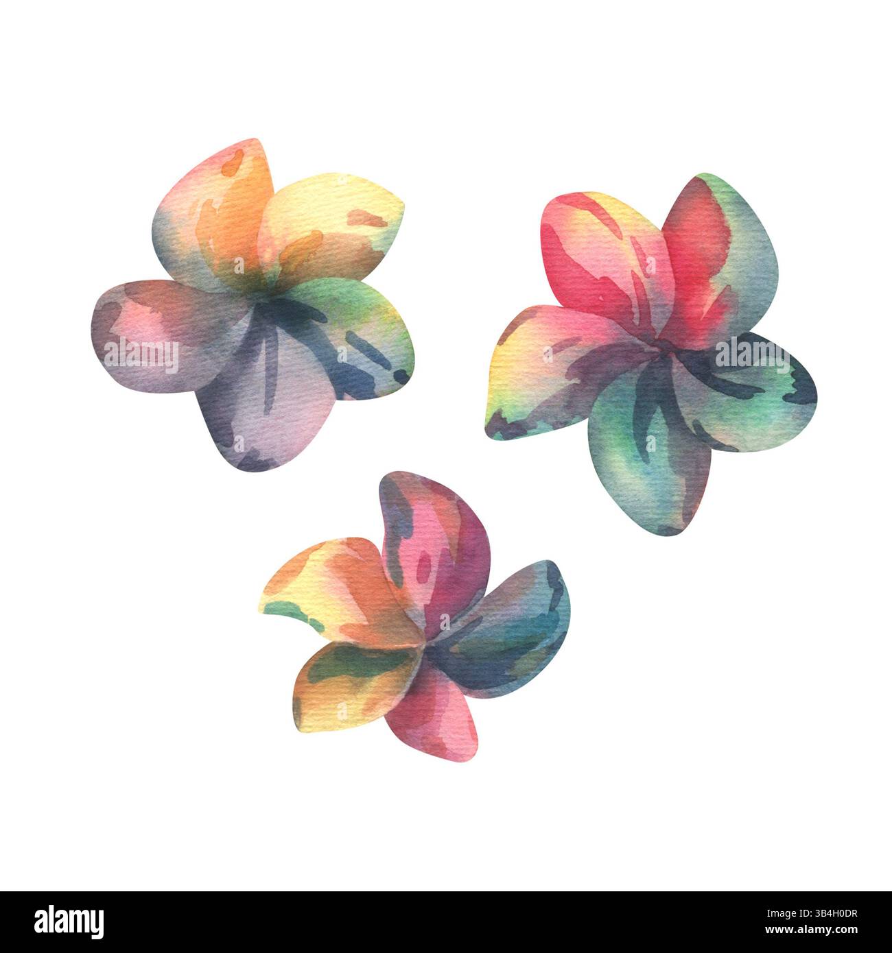 Leuchtende Plumeria-Silhouetten in Aquarellfarben, drei tropische Blumen, handbemalt in saftigen Farben. Perfekt für Sommer-Designs, Einladungen und exotische Designs Stockfoto