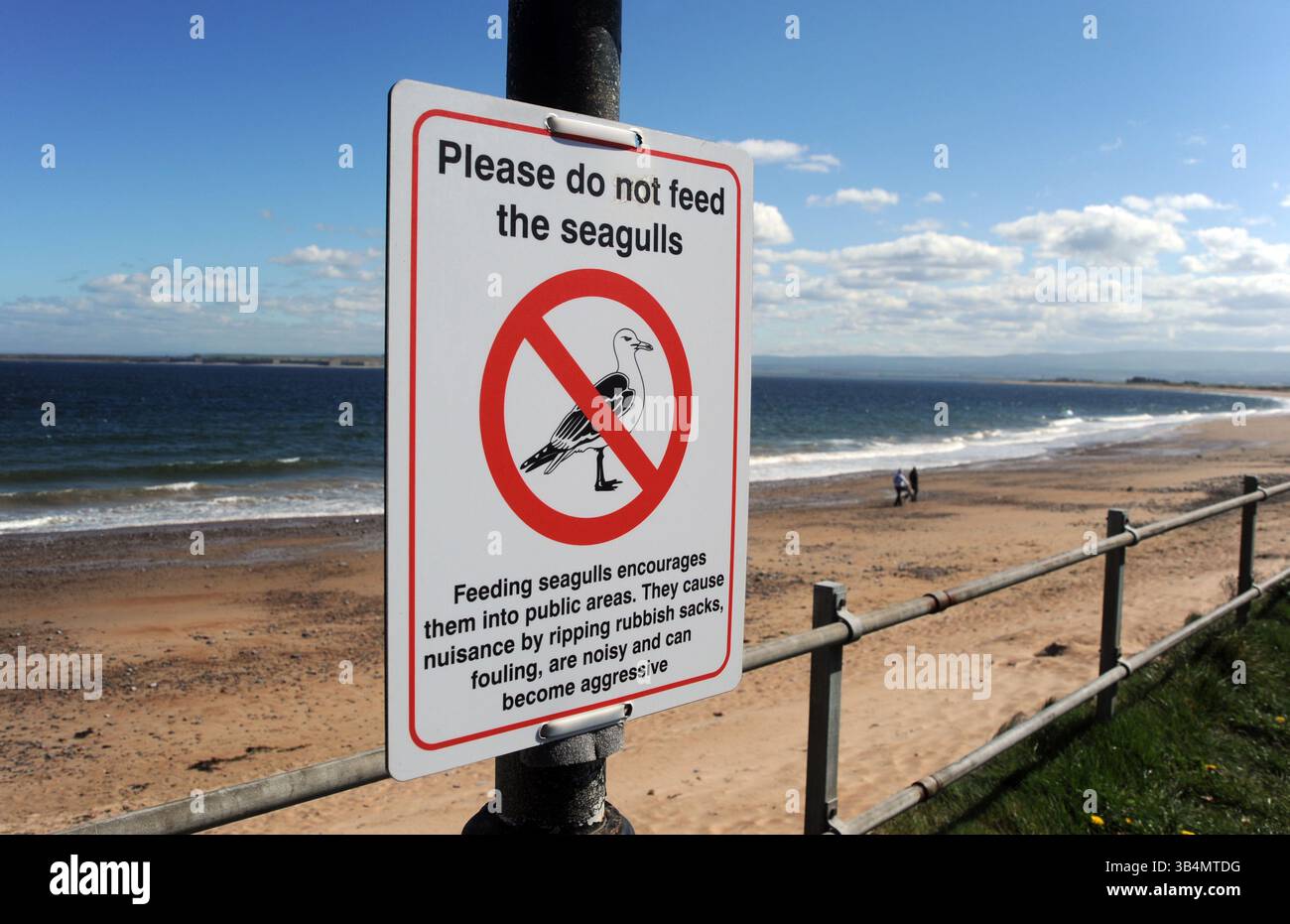 FÜTTERN SIE NICHT DAS MÖWEN-SCHILD AN DER BRITISCHEN KÜSTENPROMENADE RE STREU BEDROHUNG SCHÄDLINGSBEFALL BELÄSTIGENDE LEBENSMITTEL USW. UK Stockfoto