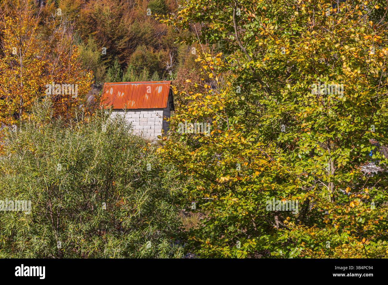 Theth, Shkoder, Albanien. Kleines Blockhaus im Wald im Theth-Nationalpark. Stockfoto