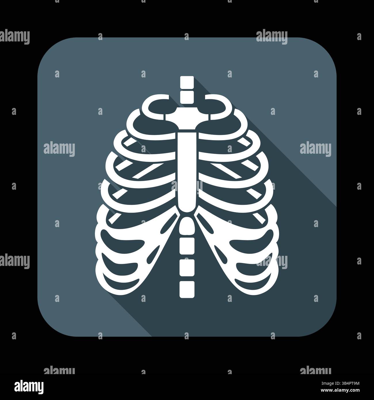 Hochauflösende medizinische Illustration des menschlichen Rippenkäfigs und der Wirbelsäule – Anatomiediagramm für das Gesundheitswesen und die Ausbildung Stock Vektor