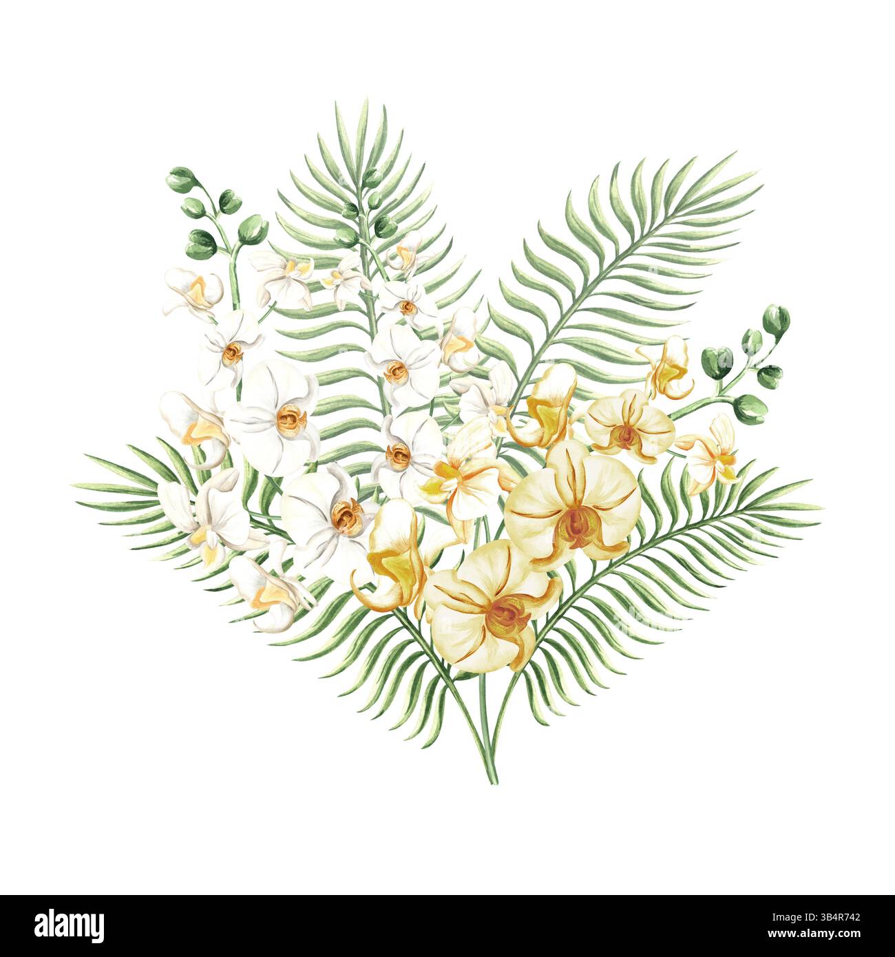 Aquarellorchideenblumen Zweige und tropische Blätter isolierte Illustration für Sommer-Regenwald-Designs. Handgezeichnete grüne Palme, phalaenopsis-Zweig Stockfoto