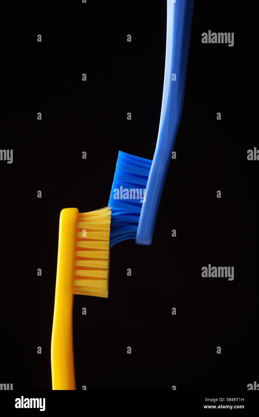 Zwei gelbe und blaue Plastikzahnbürsten auf schwarzem Hintergrund. Mundhygiene des Mundes. Eine zahnärztliche Praxis. Stockfoto