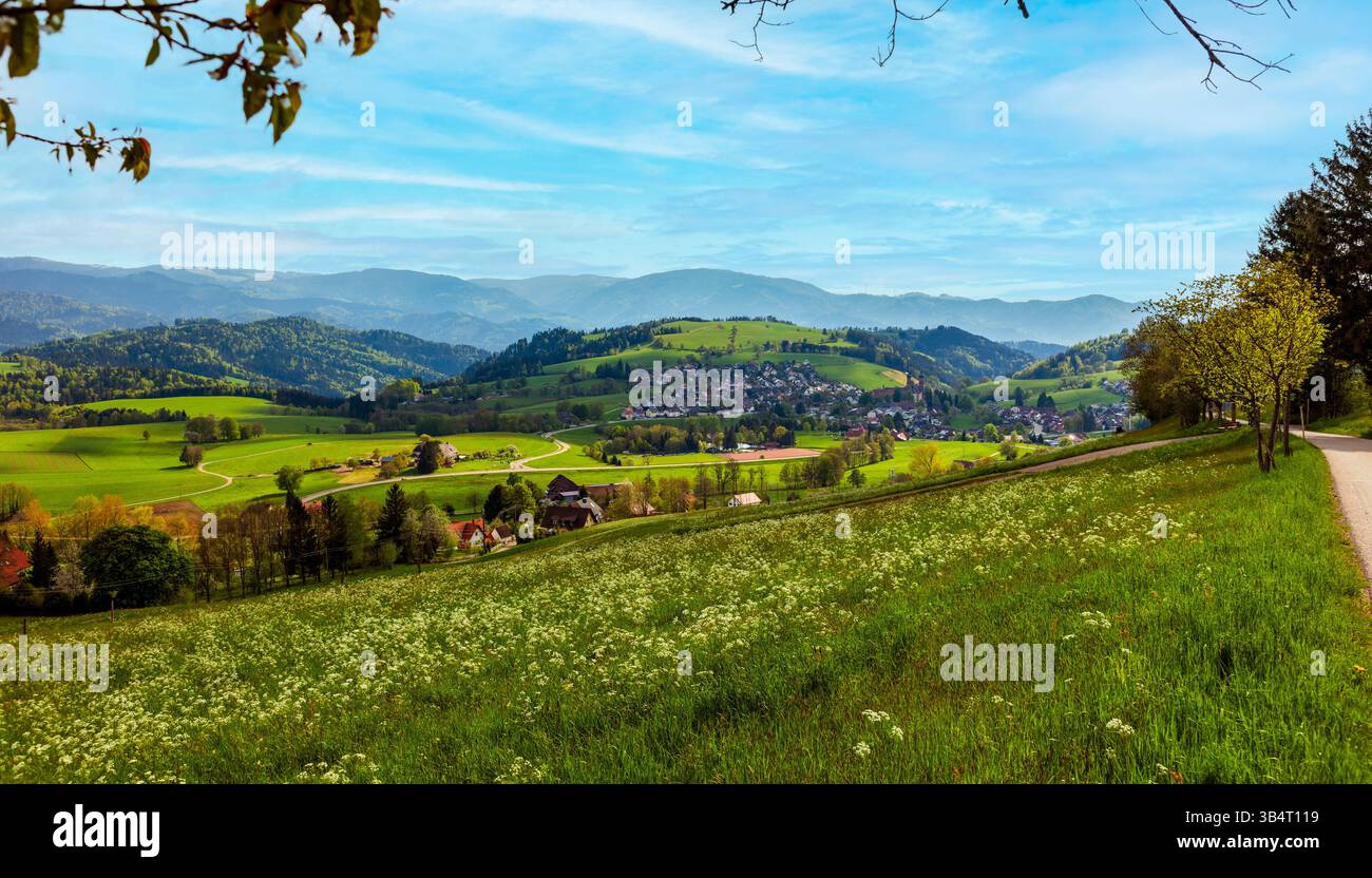 Frühling in St. Peter im Schwarzwald, Baden-Württemberg, Deutschland Stockfoto