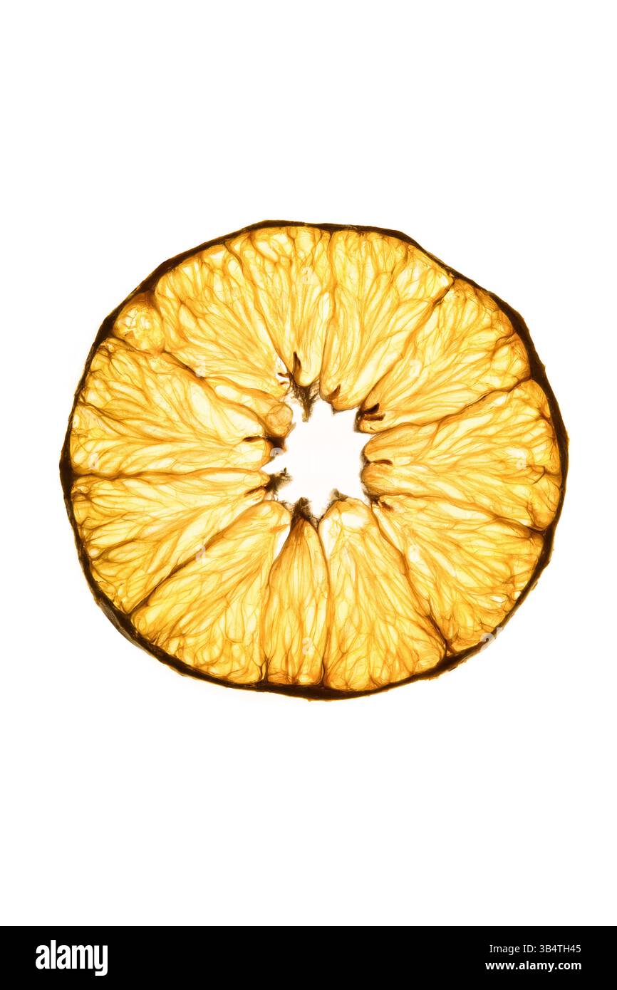 Dünne Orangenscheibe ohne Zusätze. Gesunder Snack. Getrocknete Orange, Falten. Auf weißem Hintergrund. Stockfoto