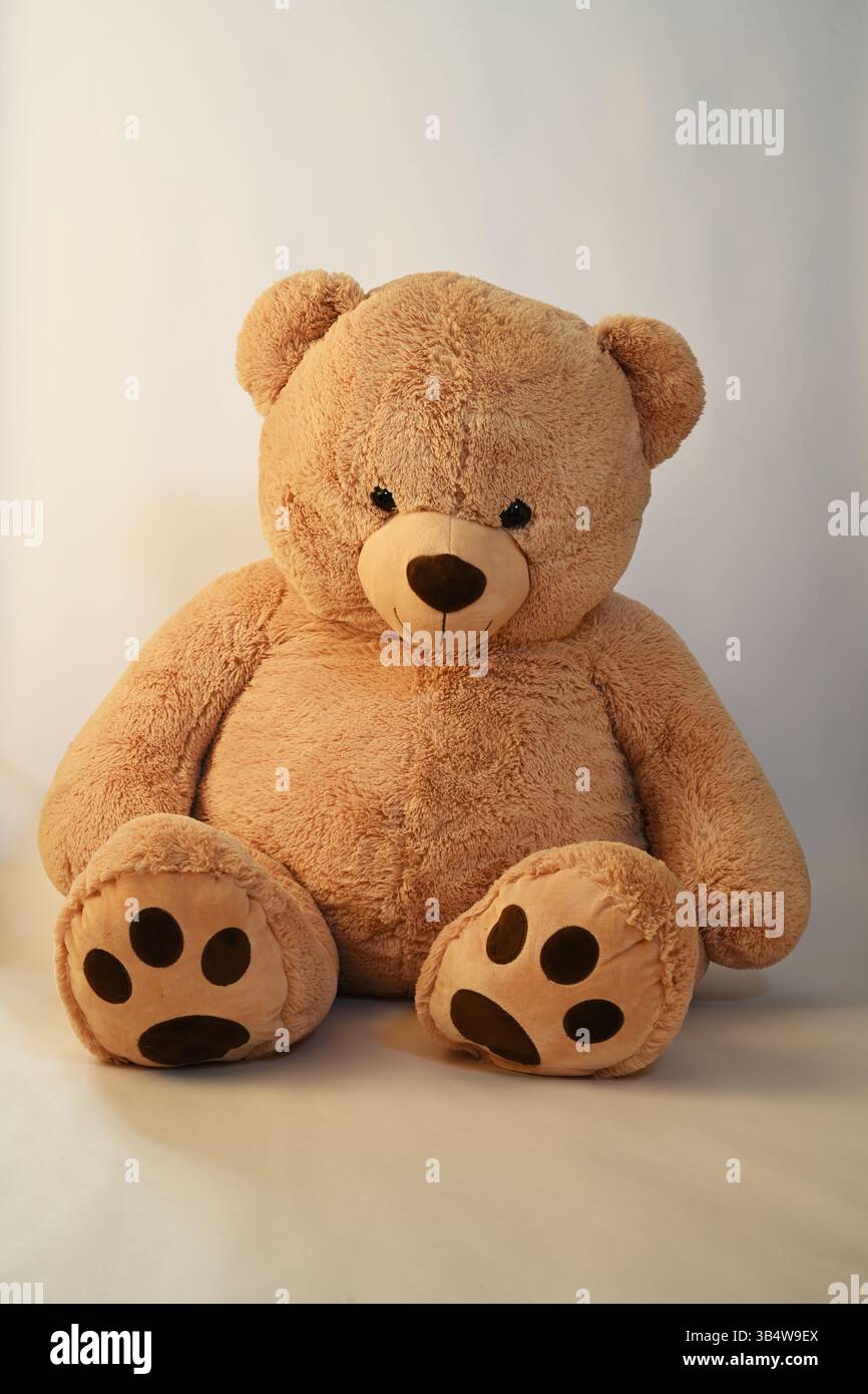 Teddybär Stockfoto